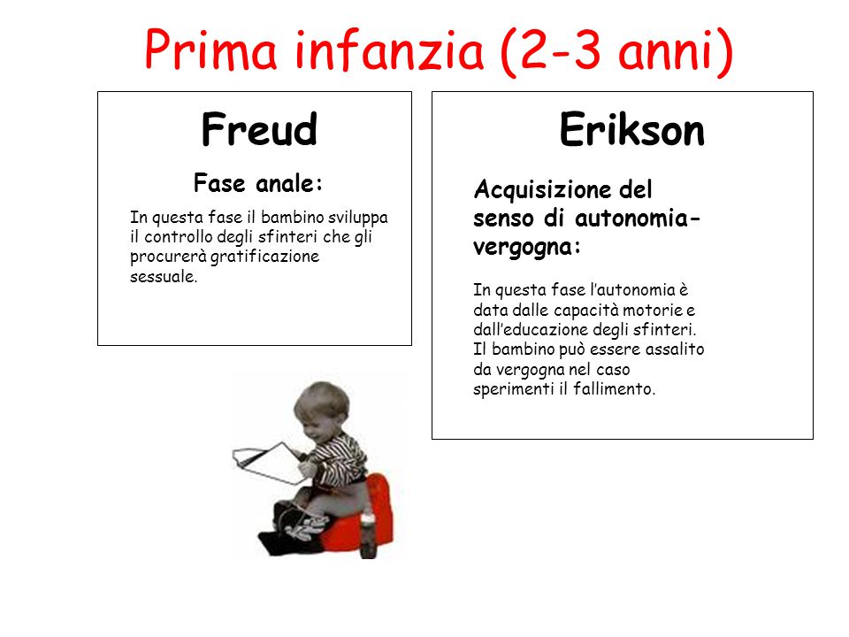 Confronto tra S. Freud E. Erikson J. Piaget. ppt scaricare